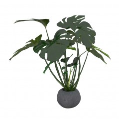 Średnia monstera w donicy handmade