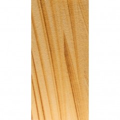 Teak Wood (Sandstone)