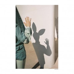 Rabbit Shadow