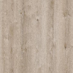 Coastline Oak 2235 x 3000 mm Schattdecor