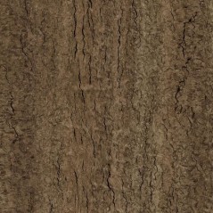 Eukalyptus Maser 620 x 1300 mm Schattdecor