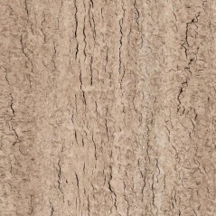 Eukalyptus Maser 620 x 1300 mm Schattdecor