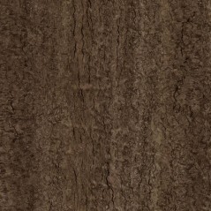 Eukalyptus Maser 620 x 1300 mm Schattdecor