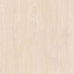 Odessa Birke 650 x 1300 mm Schattdecor