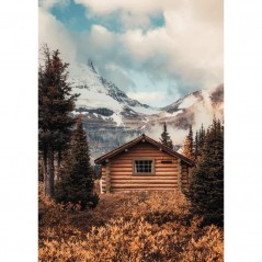 WOODEN HOUSE IN NATURE POSTERA.ART