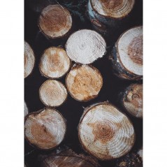 TREE STUMPS POSTERA.ART