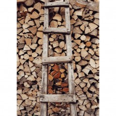 TREE LADDER POSTERA.ART