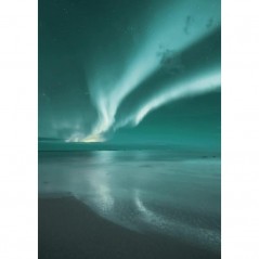 THE NORTHERN LIGHTS POSTERA.ART