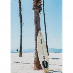 SURFBOARD BY A PALM TREE POSTERA.ART