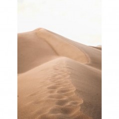 SAND IN THE DESERT POSTERA.ART