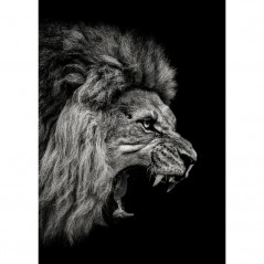 ROARING LION POSTERA.ART