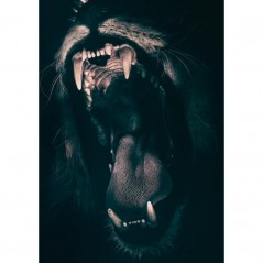 ROAR POSTERA.ART