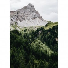 PINETREES AND MOUNTAIN POSTERA.ART