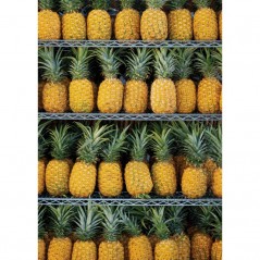 PINEAPPLES ON THE SHELVES POSTERA.ART