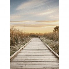 PATHWAY POSTERA.ART