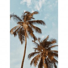 PALM TREES POSTERA.ART