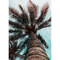 PALM TREE POSTERA.ART