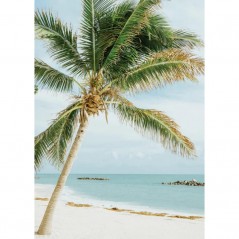 PALM TREE ON THE BEACH POSTERA.ART