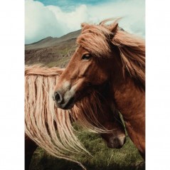 LOVING HORSES POSTERA.ART