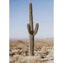 LARGE CACTUS POSTERA.ART