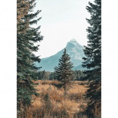 LANDSCAPE WITH PINETREES POSTERA.ART