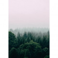 FOG OVER THE FOREST POSTERA.ART