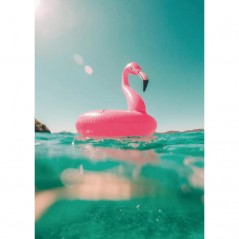 FLOATING FLAMINGO POSTERA.ART