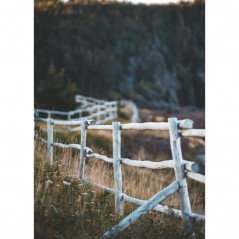 FENCE IN THE FIELD POSTERA.ART