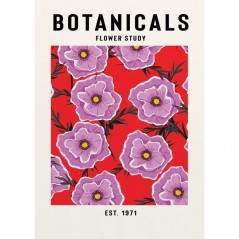 BOTANICALS FLOWER STUDY POSTERA.ART