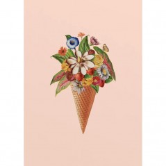 BOTANICAL PINK ICE CREAM POSTERA.ART