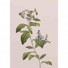 BOTANICAL CYCLING POSTERA.ART