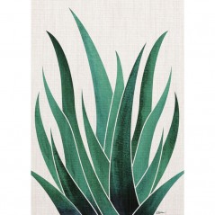 DESERT AGAVE CACTUS POSTERA.ART